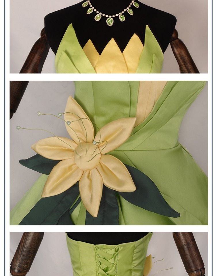 Princess Tiana Dress Cosplay C - Women'S Accessories List recension och pris