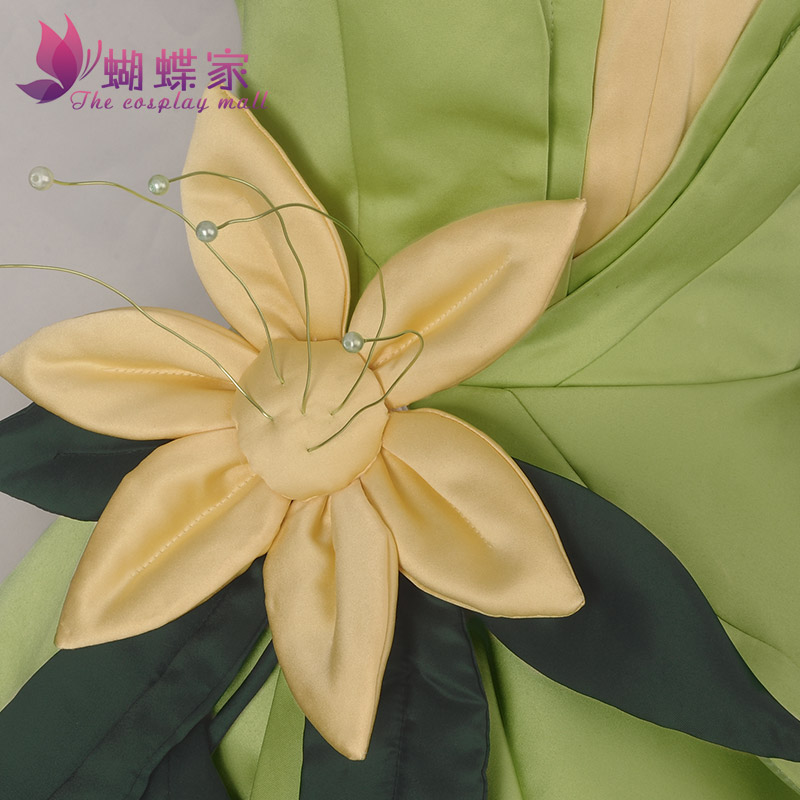 Princess Tiana Dress Cosplay C - Women'S Accessories List recension och pris